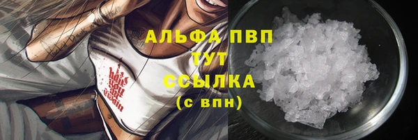дмт Богородицк