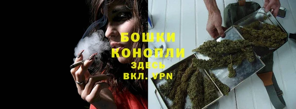 дмт Богородицк
