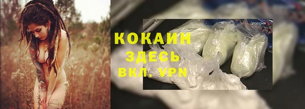 марки nbome Богданович