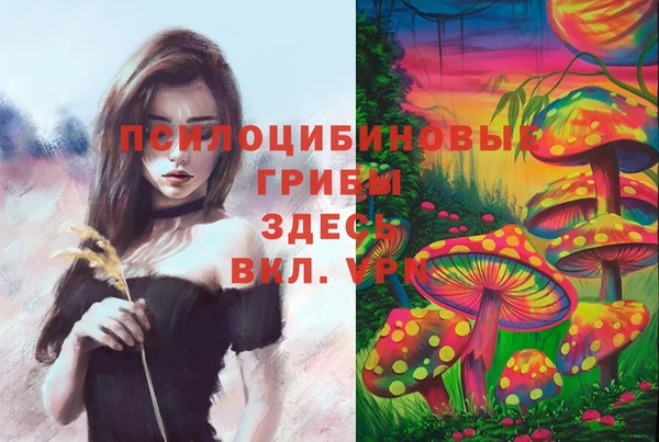 кристаллы Верхний Тагил